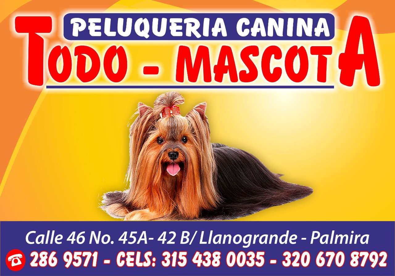 Todo Mascota