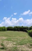 SE VENDE LOTE EN CERRITOS.