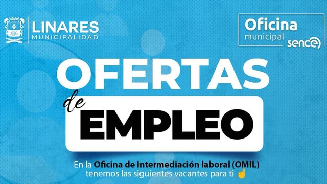 Asistente virtual sin experiencia-auxiliar