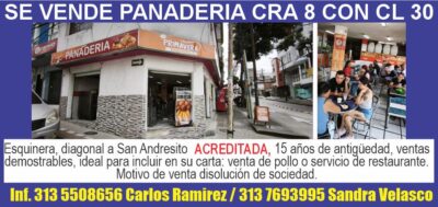 VENDO-PANADERIA-CRA-8-CON-CL-30-Inf.-313-5508656-